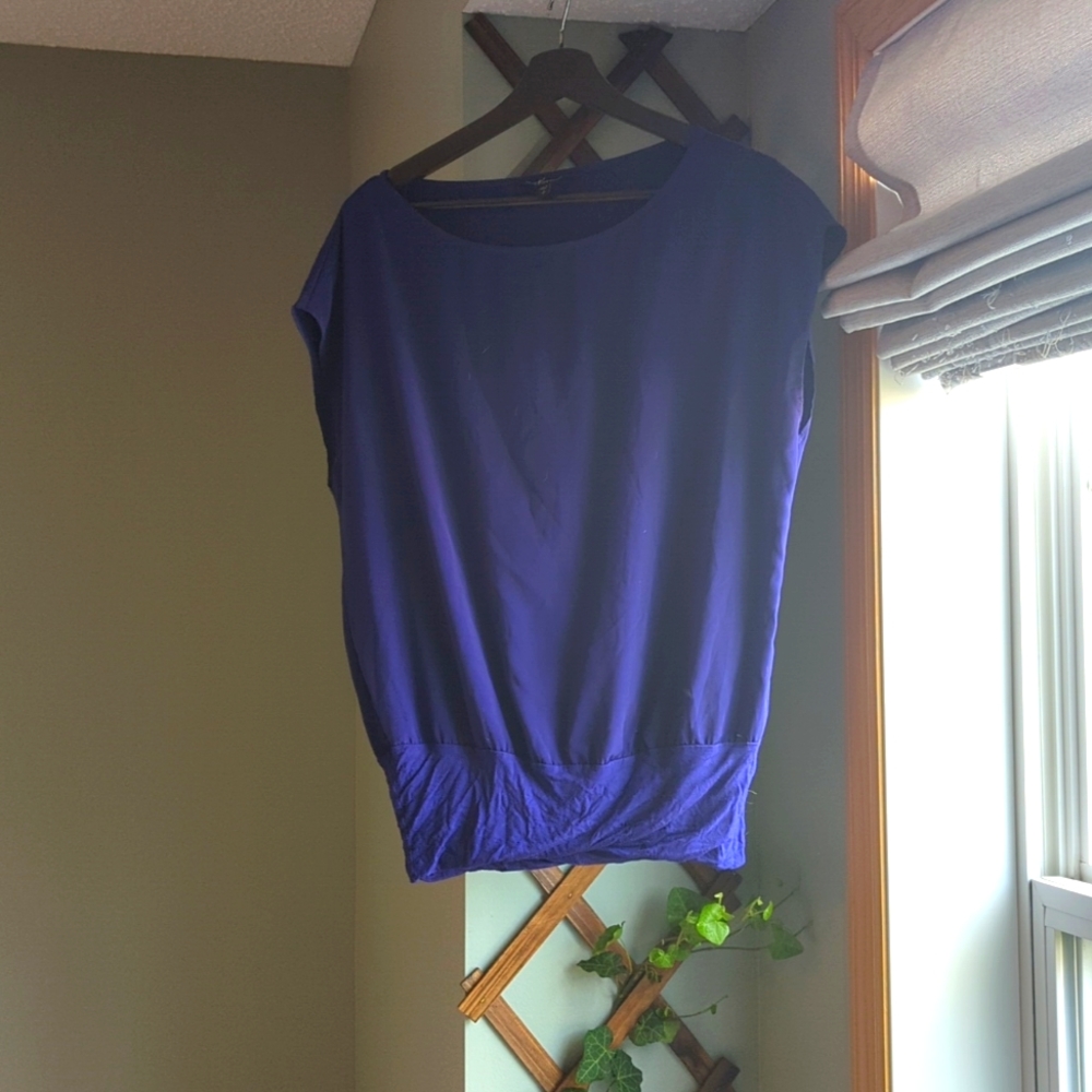 Express Small Purple Dress Shirt